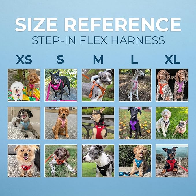 Best Pet Supplies Voyager Adjustable Step-in Flex Breathable Mesh Dog Harness - Image 6
