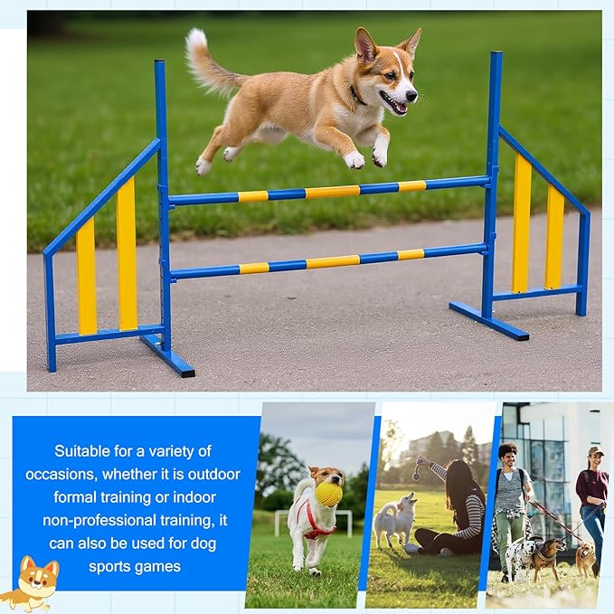 Seenelling Agility Wing Jumps - Image 5