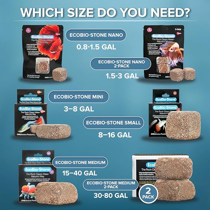 EcoBio-Block Natural Volcanic Rock - Image 2