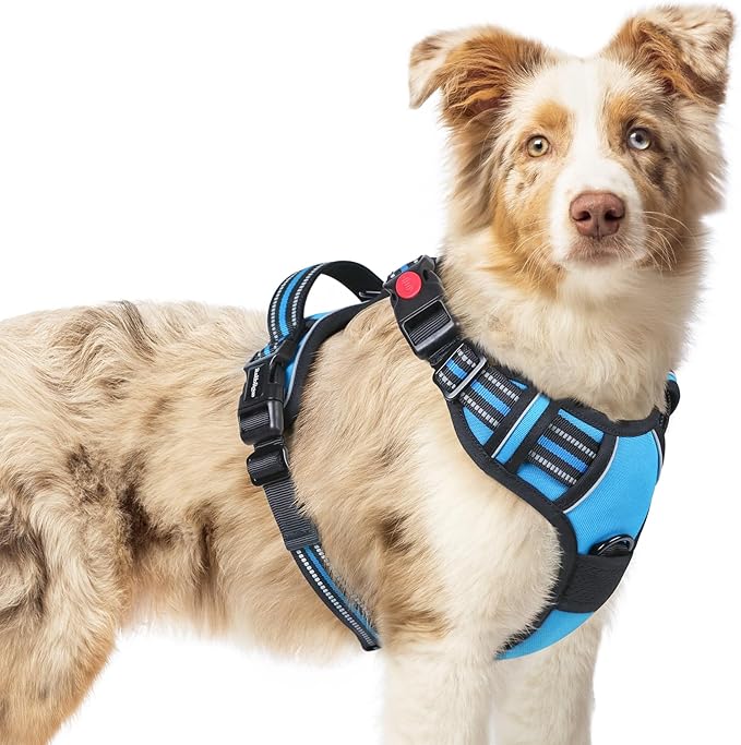 rabbitgoo Dog Harness Medium Sized, No Pull Easy On & Off by rabbitgoo