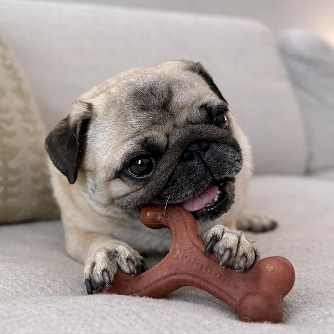 Nylabone Strong Chew Wishbone Dog Toy Made - Image 5