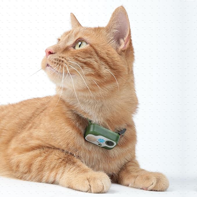 Genuine MS-5® Cat Series Automatic Pet Door Collar. Tested & Certified by High - Image 3