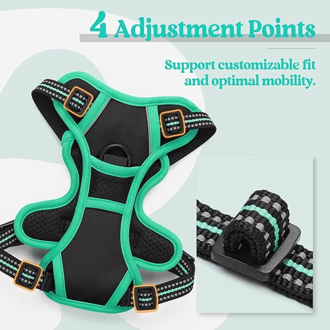 rabbitgoo Dog Harness No Pull - Image 4