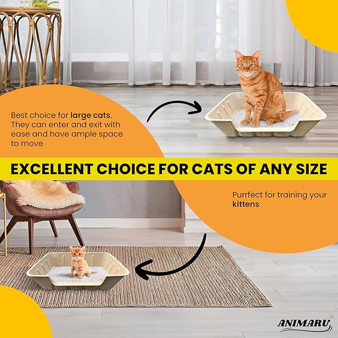 Disposable Litter Boxes - Image 4