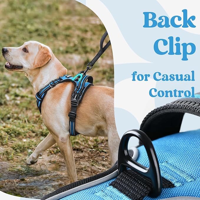 rabbitgoo Dog Harness for Large, No Pull Easy On & Off - Image 6