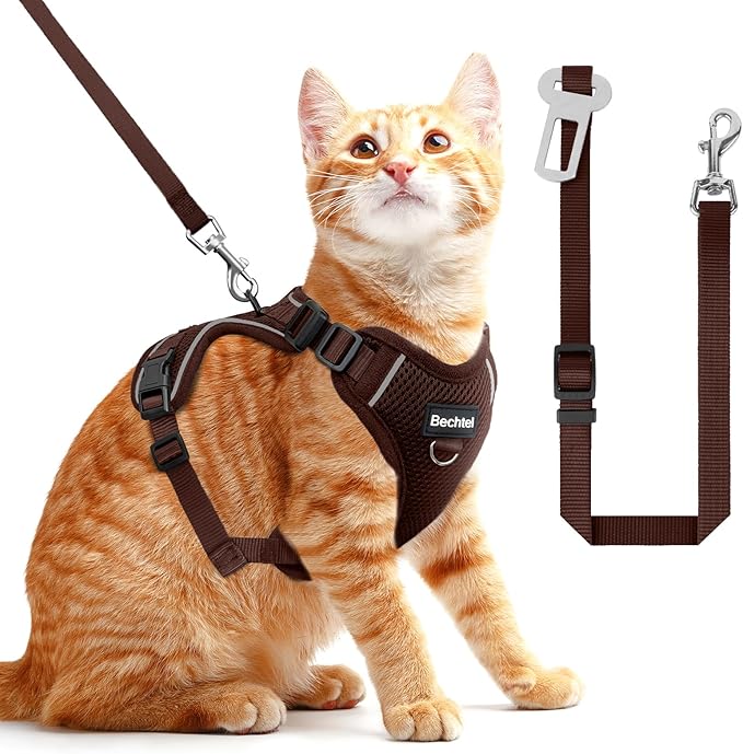 Cat Harness and Leash Set by BECHTEL