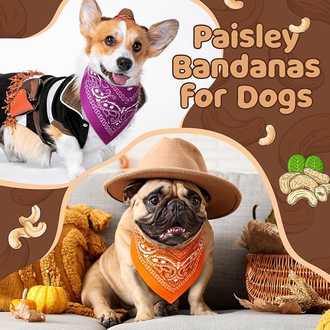 Sanwuta 50 Pcs Paisley Dog Bandanas Bulk Western Cowboy Bandanas - Image 4