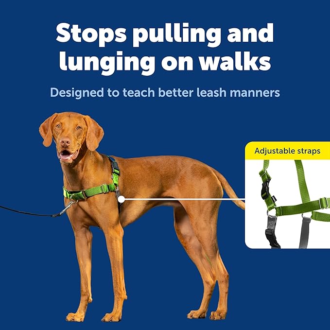 PetSafe Easy Walk No-Pull Dog Harness - Image 3