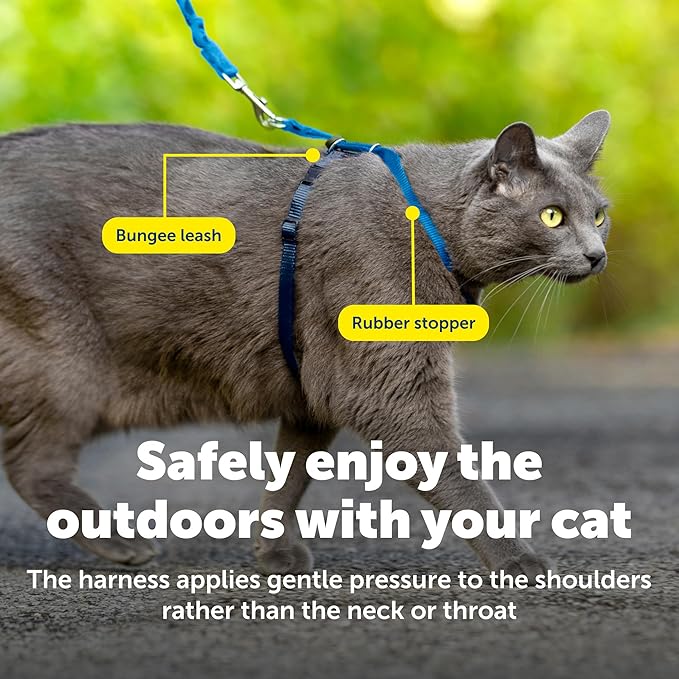 PetSafe Come with Me Kitty Harness and Bungee Leash Adjustable, Lightweight - Image 6