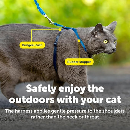PetSafe Come with Me Kitty Harness and Bungee Leash Adjustable, Lightweight - Image 6