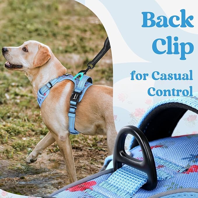 rabbitgoo Dog Harness for Large, No Pull Easy On & Off - Image 6