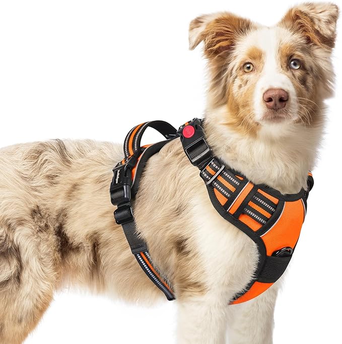rabbitgoo Dog Harness Medium Sized, No Pull Easy On & Off by rabbitgoo