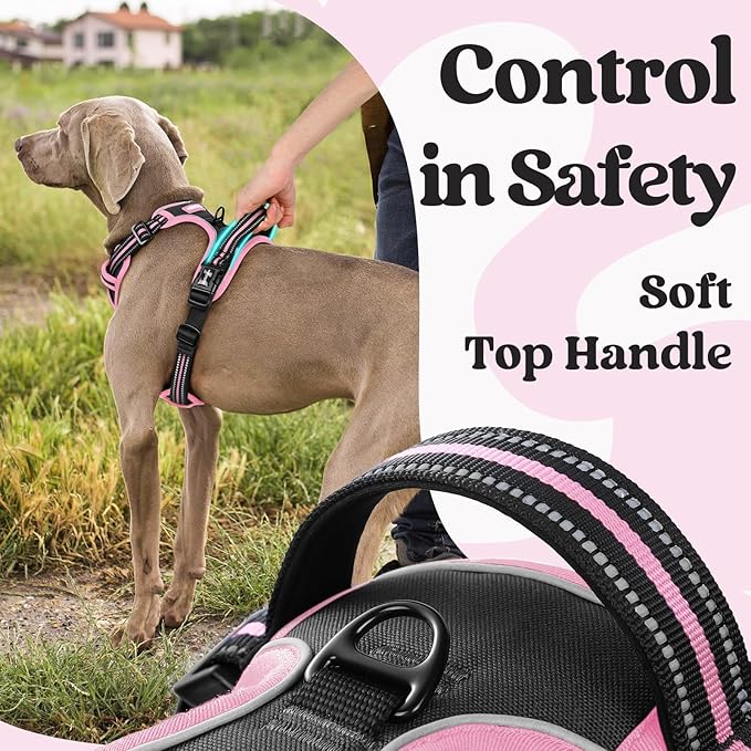 rabbitgoo Dog Harness Small Sized, No Pull Easy On & Off - Image 4