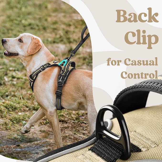 rabbitgoo Dog Harness for Large, No Pull Easy On & Off - Image 6