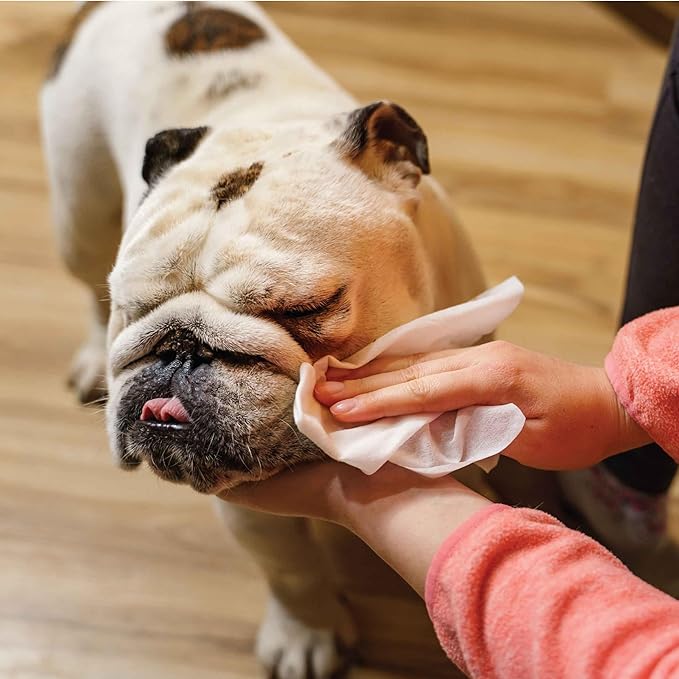 110 Pack Pet Grooming Wipes - Image 9