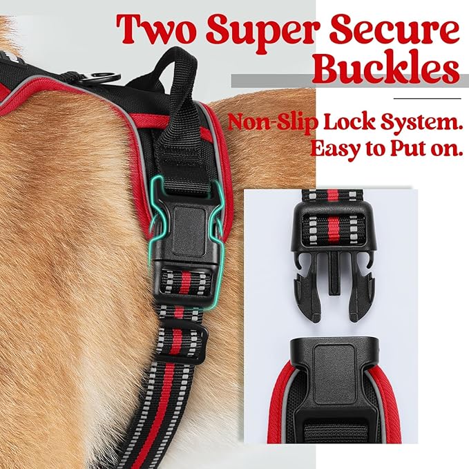 rabbitgoo Dog Harness No Pull - Image 4