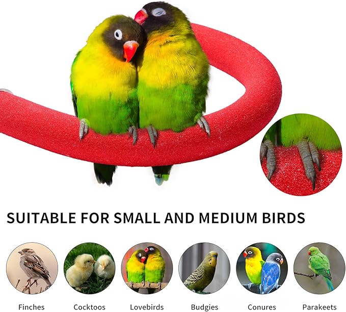 FrgKbTm U Shape Parrot Perch Stand Toy Bird Platform Sand Paw Grinding Clean - Image 4
