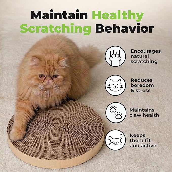 Best Pet Supplies Catify Cat Scratcher, Fun Interactive Scratchers, Claw Safe - Image 6