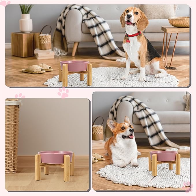 Elevated Slow Feeder Dog Bowl - Image 6