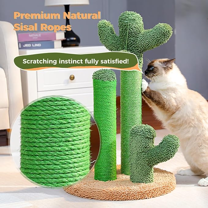 PAWZ Road Cat Scratching Post Cactus Cat Scratcher Featuring - Image 5