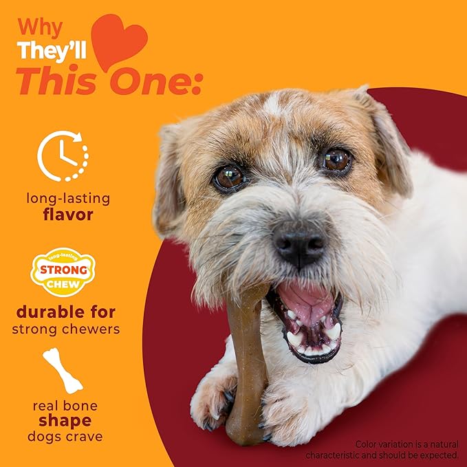 Nylabone Strong Chew Femur Bone Dog Toy Made - Image 3