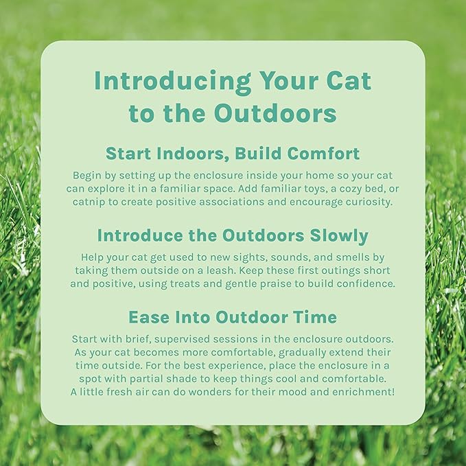 Kitty City Outdoor Catio Furniture and Play Kits - Image 8