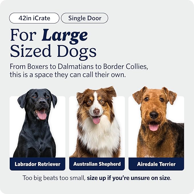 MidWest Homes for Pets 42-Inch iCrate for Large Breeds, 71-90 lbs, Single Door - Image 3