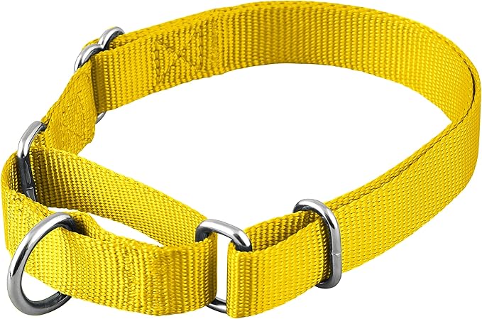 Native Pup Martingale Dog Collar, Adjustable by NativePup