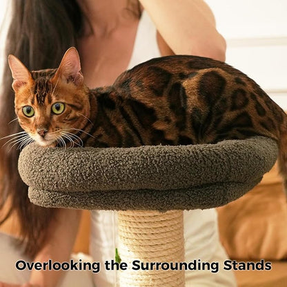 TinyBeast 29.5" Cat Tower with Scratching Post, 4-in-1 Natural Sisal Cat - Image 8