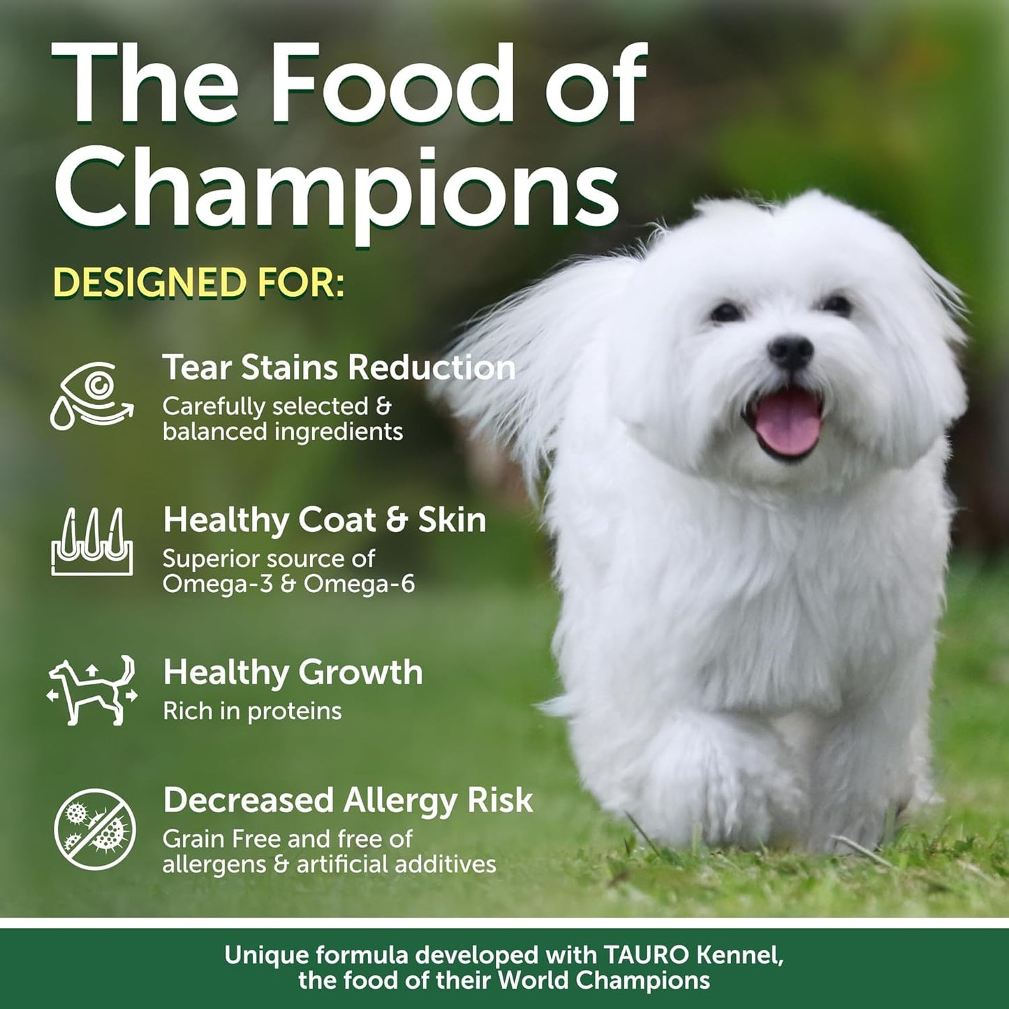 Nature's Protection Grain Free Dry Dog Food for Small Breed - High Protein Tear Stain Formula - Small Kibble for Adult Dogs with Light Fur (Superior Care - Herring, 3.3 lb)