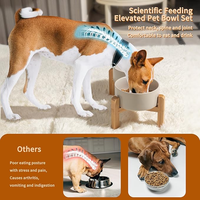 PTOBER Elevated Ceramic Dog Bowl Set - Image 4