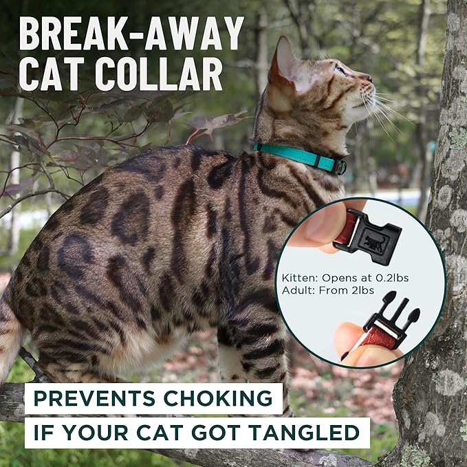 OutdoorBengal Pink Breakaway Kitten Collar - Image 2