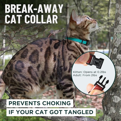 OutdoorBengal Blue Cat Collar Breakaway - Image 2