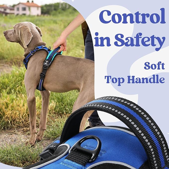 rabbitgoo Dog Harness for Large, No Pull Easy On & Off - Image 4