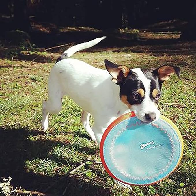 Chuckit! Paraflight Flying Disc Dog Toy - Image 11