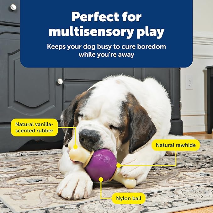 PetSafe Busy Buddy Bouncy Bone, Treat Holding Dog Toy - Image 4