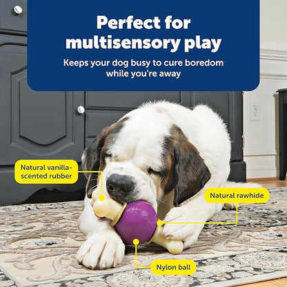 PetSafe Busy Buddy Bouncy Bone, Treat Holding Dog Toy - Image 4