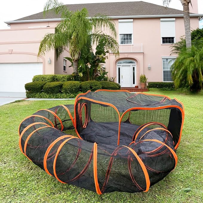 Outdoor Cat Enclosures for Indoor Cats by Pawtenda
