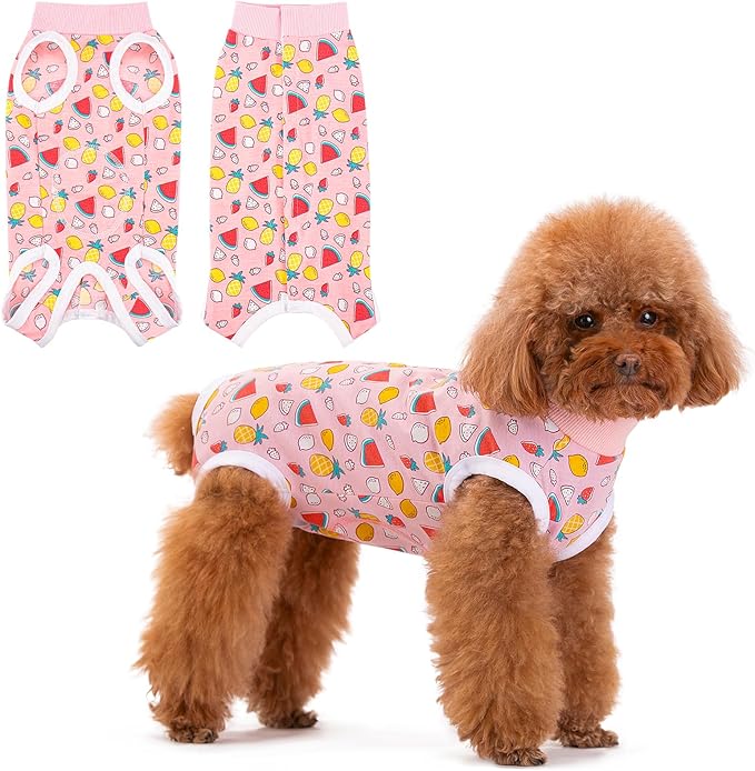Coppthinktu Recovery Suit for Dogs After Surgery, Dog Onesie Surgery Recovery by Coppthinktu