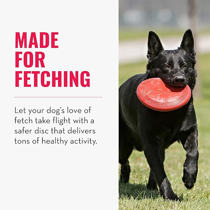 KONG Flyer - Durable Dog Toy for Outdoor Playtime - Natural Rubber Flying Disc - Image 3