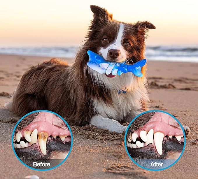 PETSTA Dog Chew Toys for Aggressive Chewers, Durable Toys for Large Dogs - Image 4