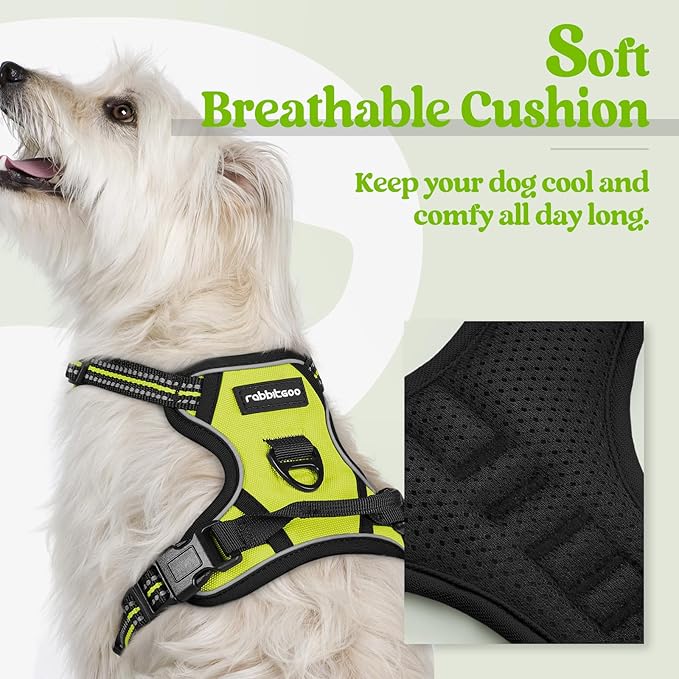 rabbitgoo Dog Harness No Pull - Image 2
