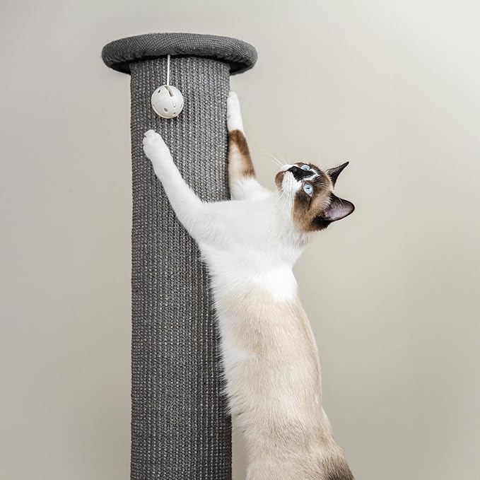 Kitty City Tall Sisal Cat Scratching Post, 32” Durable Scratcher - Image 4