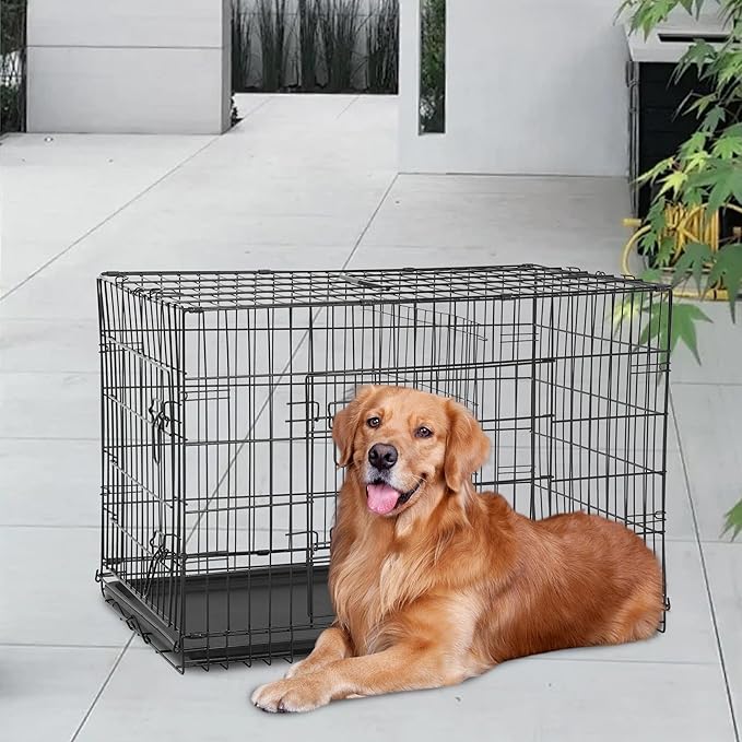 FDW Dog Crate for Large Dogs 48 Inch Folding Metal WirePet Cage Double Door - Image 2