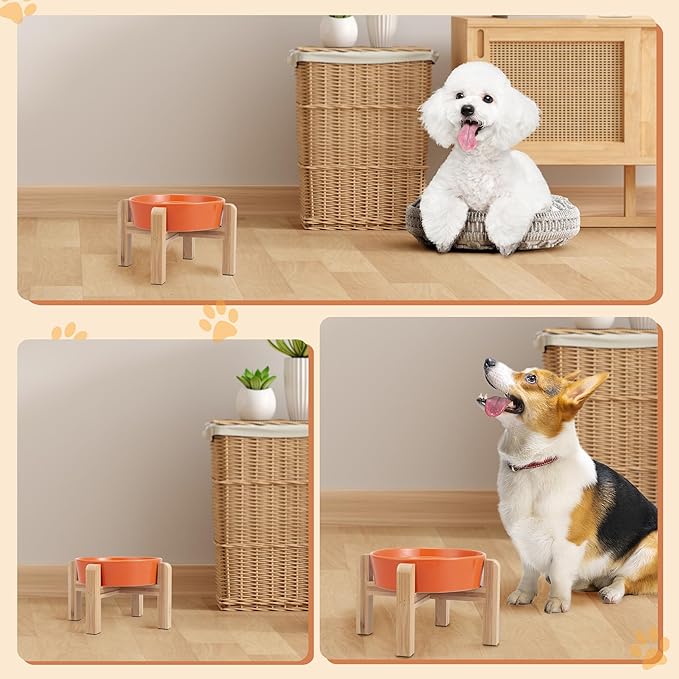Elevated Slow Feeder Dog Bowl - Image 6