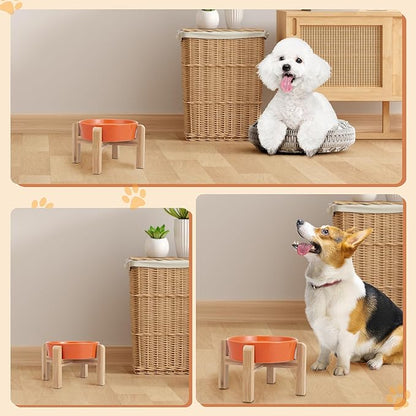 Elevated Slow Feeder Dog Bowl - Image 6