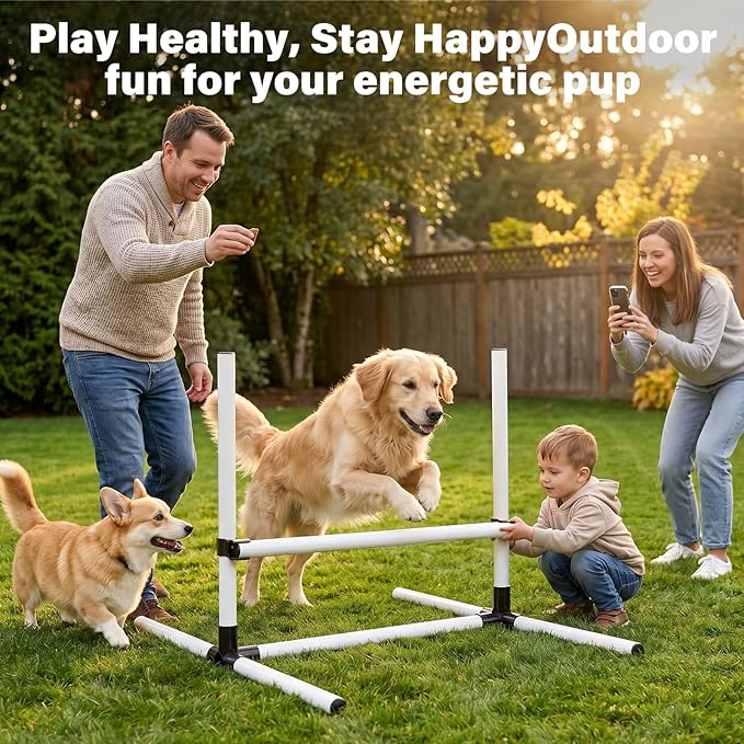 Adjustable Dog Agility Jump Set - Image 6