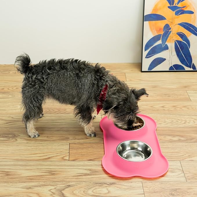 Conlun Stainless Steel Dog Bowls - Image 9