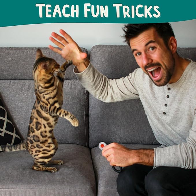 ALBERT & MIA Cat Training Kit - Image 2