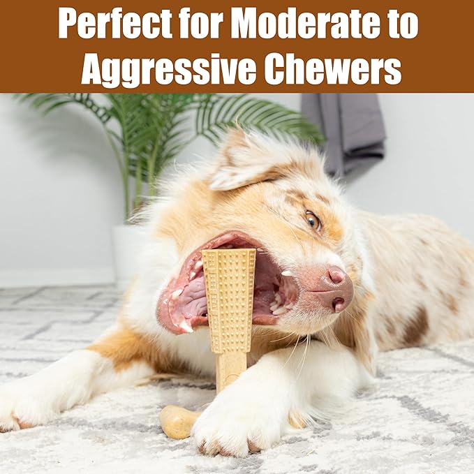 SPOT Bam-Bones Plus T-Bone, Bamboo Fiber & Nylon Dog Chew, Durable - Image 5